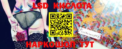 гидропоника Камышлов