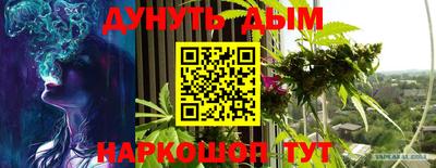 гидропоника Камышлов