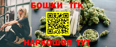 гидропоника Камышлов